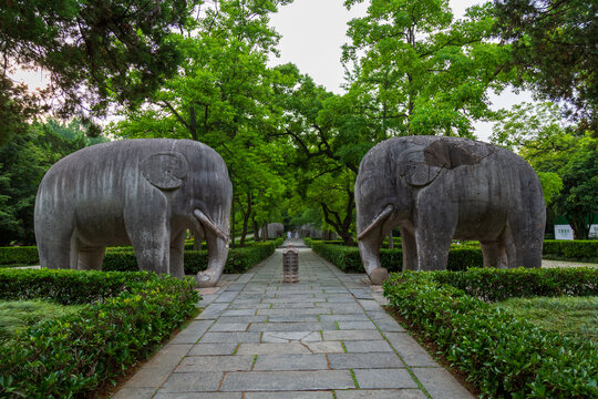 南京明孝陵石象路