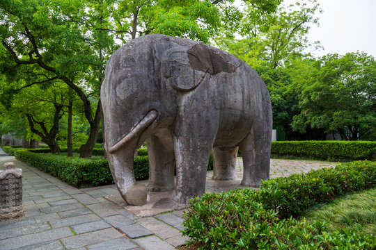 南京明孝陵石象路