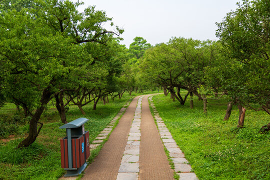 南京明孝陵景区