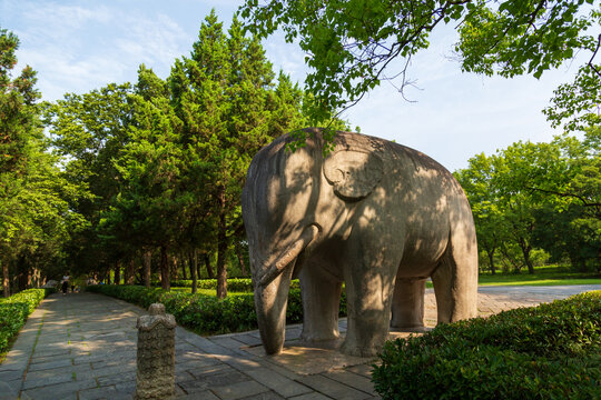 南京明孝陵石像路