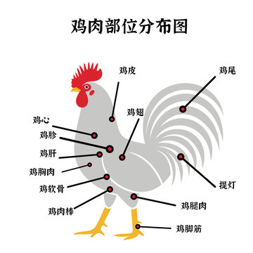 鸡肉分布图