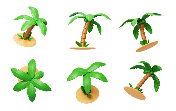 夏季自然椰子果实沙滩植物3D