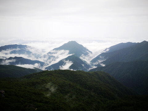 山中云雾