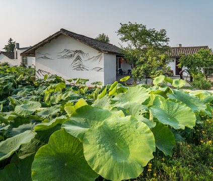 永丰村民居