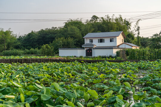 永丰村民居