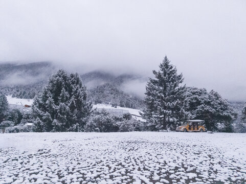 鲁朗春日初雪7