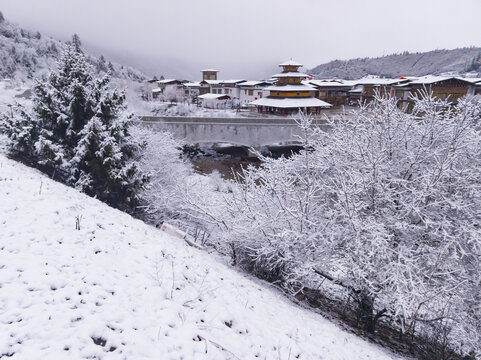 鲁朗春日初雪15