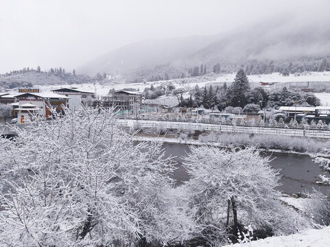 鲁朗春日初雪18