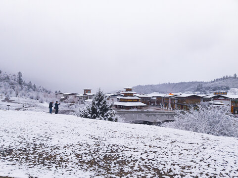 鲁朗春日初雪21