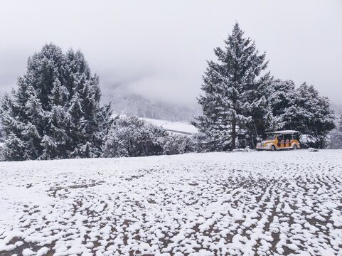 鲁朗春日初雪22