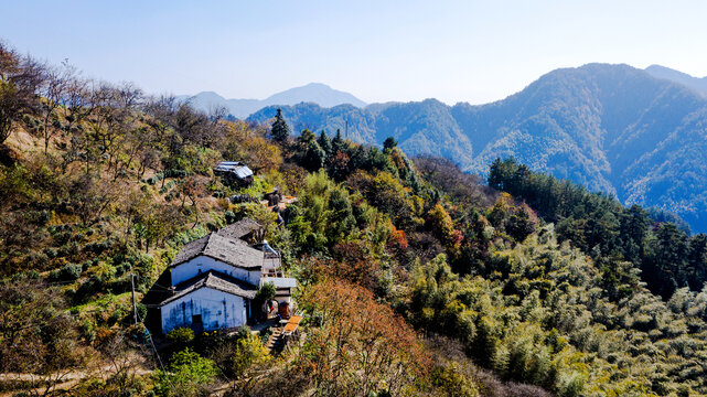 歙县姬川村上丰花果山