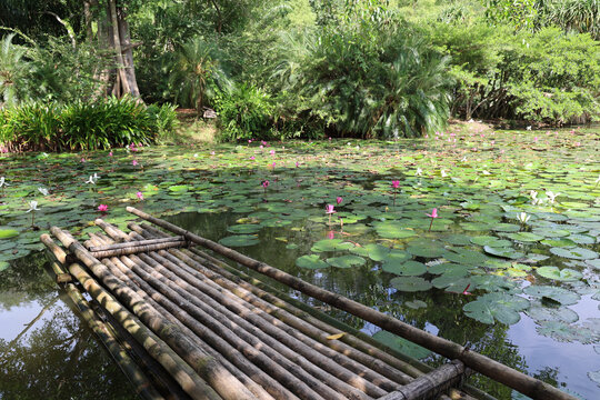 中国科学园西双版纳热带植物园