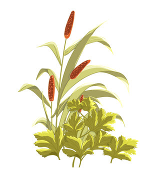 國潮國風(fēng)艾草插畫