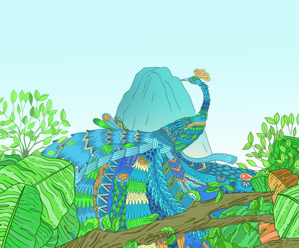 孔雀插畫