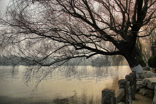 大明湖湖畔