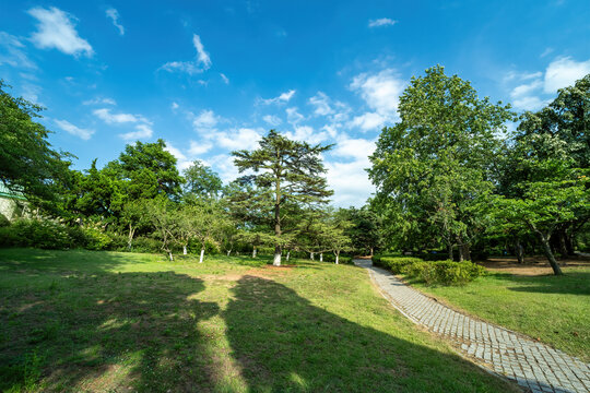 城市园林景观街景