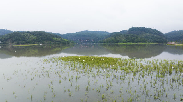 福建省泰宁大金湖白鹭湾