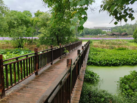 木兰花乡