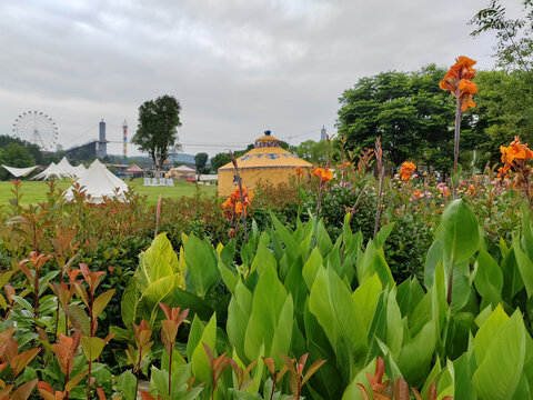 木兰花乡