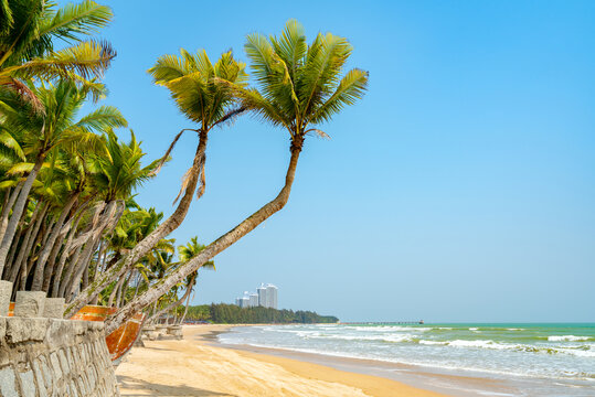 夏季海滩景观