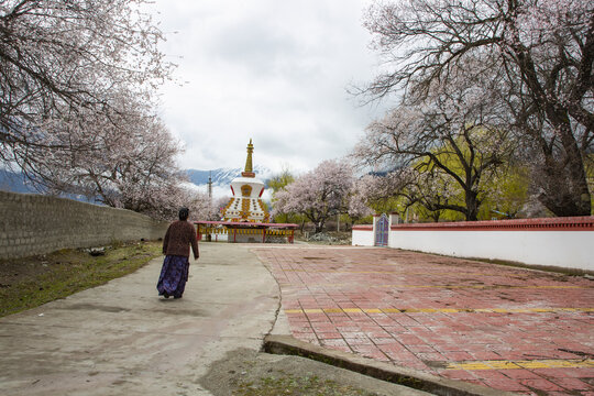 春到如纳村52