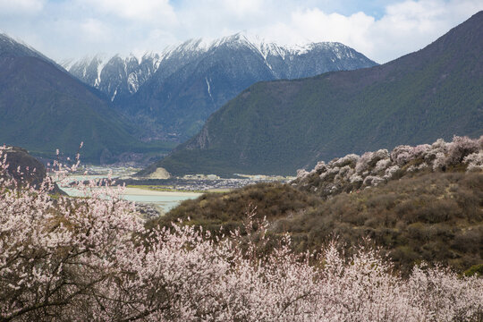 雅鲁藏布江峡谷风光61