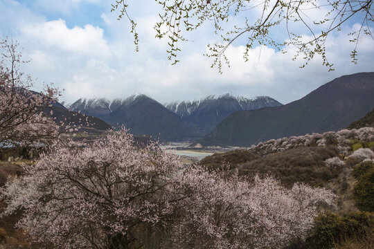 雅鲁藏布江峡谷风光62