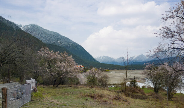 雅鲁藏布江峡谷风光70