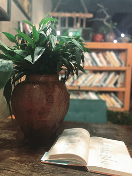 花瓶看书阅读