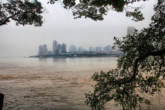 温州欧江风景