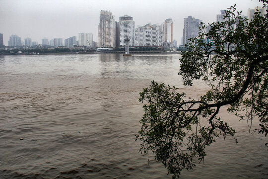 温州欧江风景