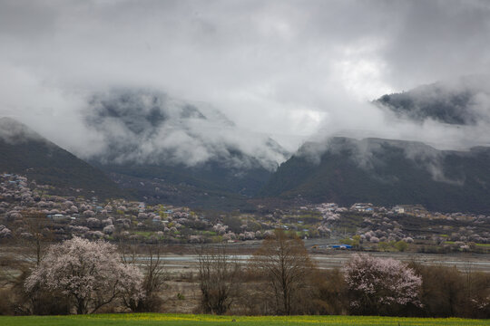 波密桃花沟风光3