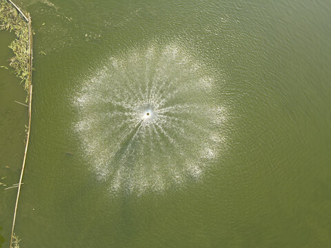 池塘里增氧喷泉水花