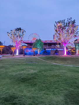 木兰花乡夜景