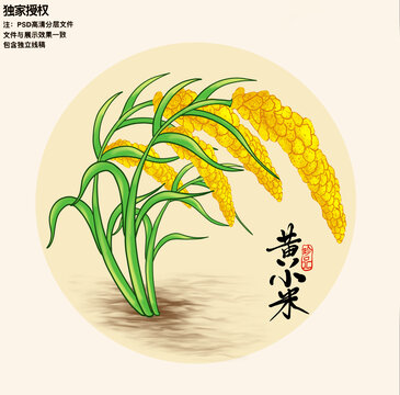 黃小米