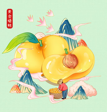 黃金蟠桃插畫手繪