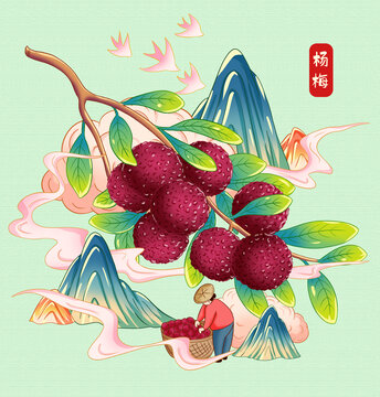 楊梅插畫
