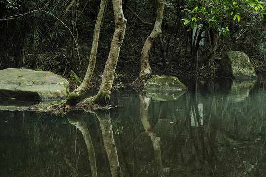 深圳马峦山郊野公园