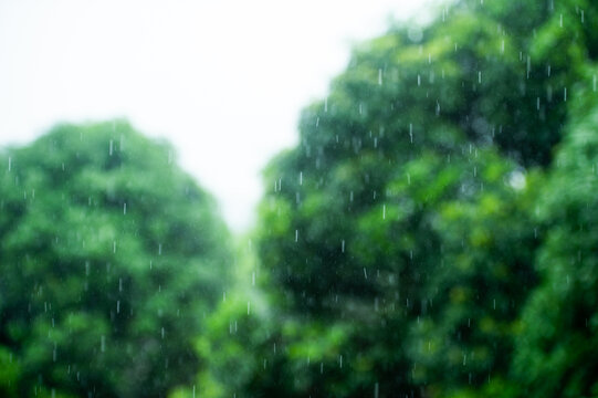 雨滴