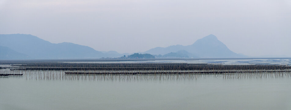 海洋养殖业海带紫菜养殖