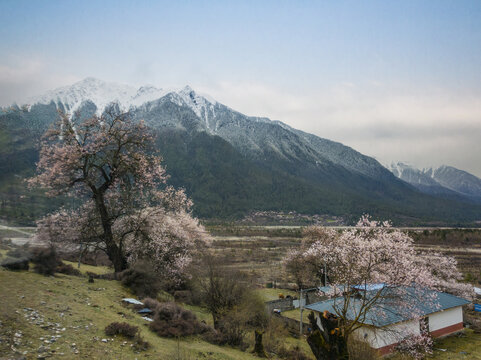 川藏南线路上风景26