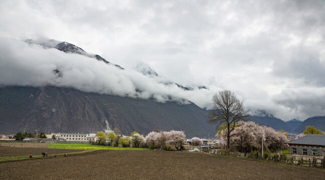 川藏南线路上风景52