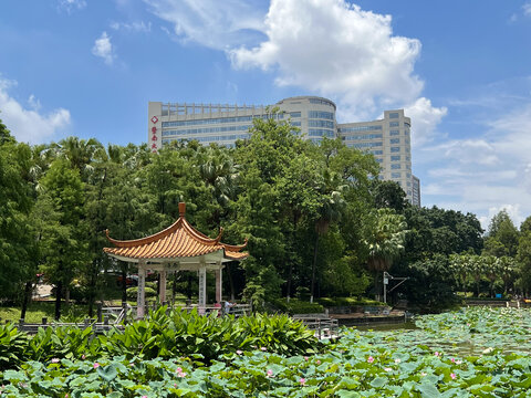 暨南大学华侨医院