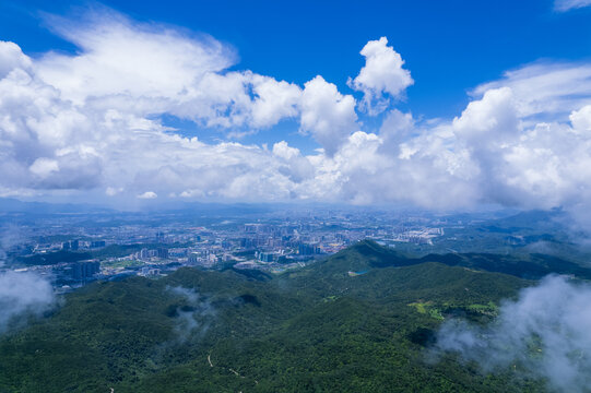 云海森林城市深圳坪山风光