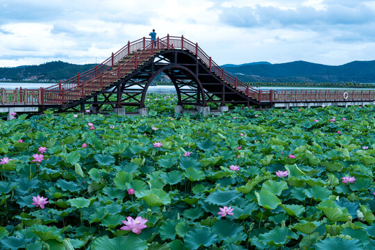 石屏异龙湖风光