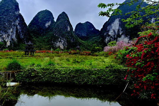 广西旧州风景