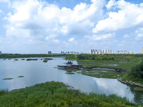 航拍江苏东海湿地夏日风光