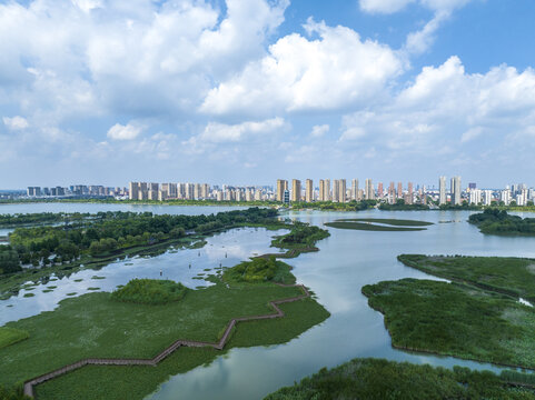 航拍江苏东海湿地夏日风光