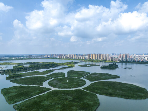 航拍江苏东海湿地夏日风光