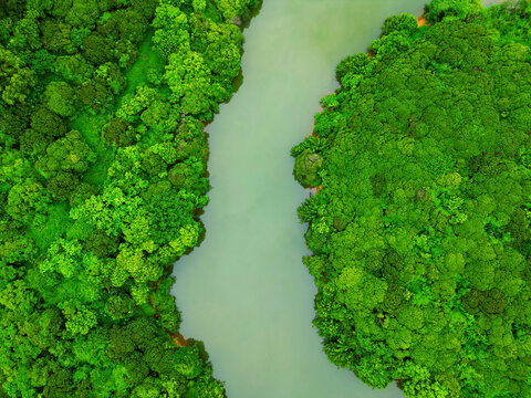 深圳水库河流